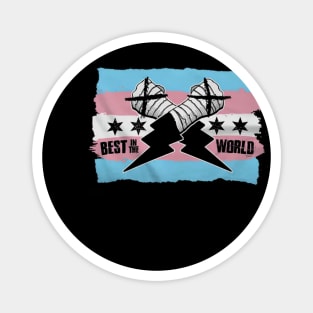 CM Punk Best In The World Trans Pride Magnet